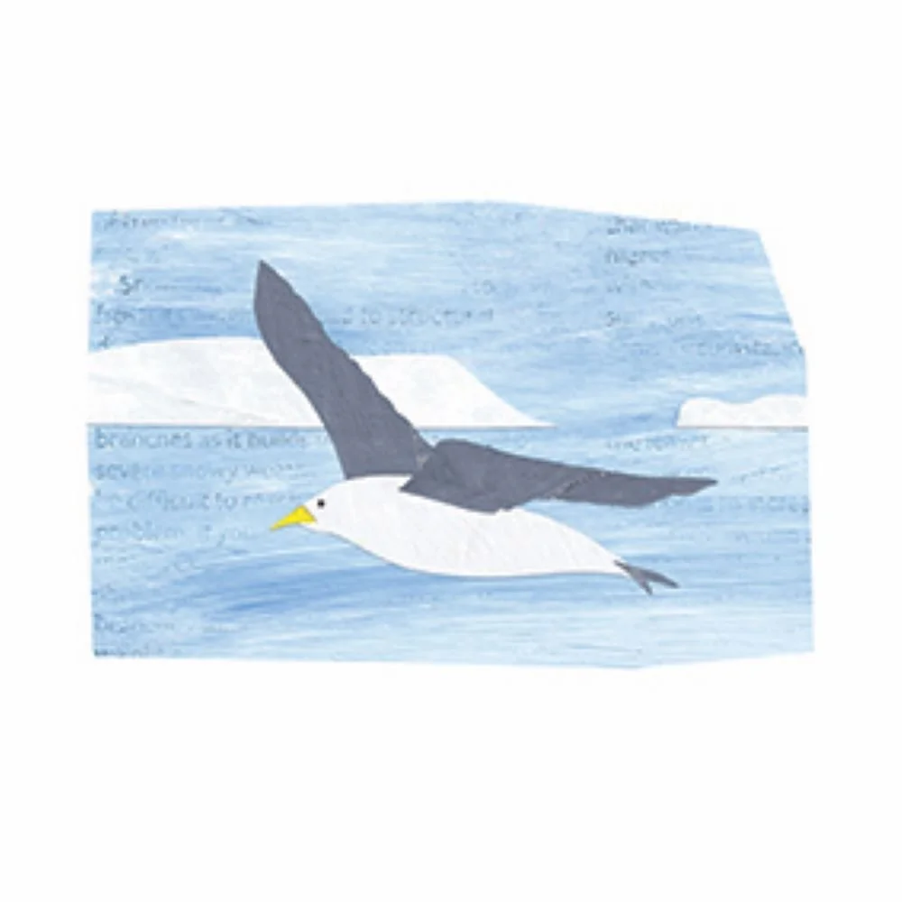 Book Group | Jonathan Livingston, Seagull | The Simple Things